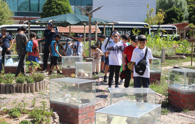 8 BİN ÖĞRENCİ ÇEVRE KONUSUNDA BİLİNÇLENDİ